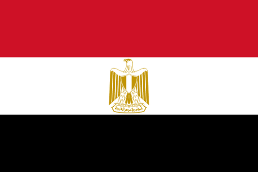 Egypt World Cup 2026 flag
