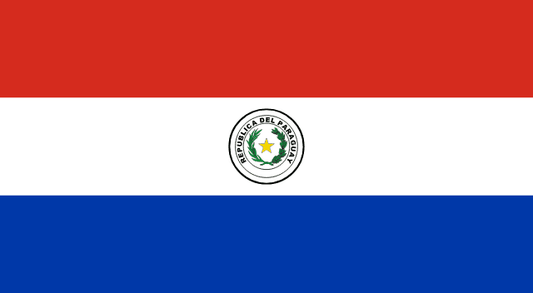 Paraguay World Cup 2026 flag
