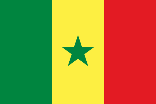 Senegal World Cup 2026 flag