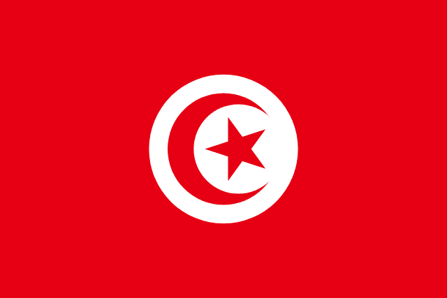 Tunisia World Cup 2026 flag