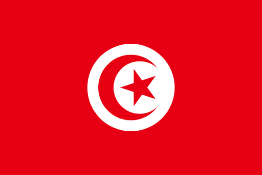 Tunisia World Cup 2026 flag